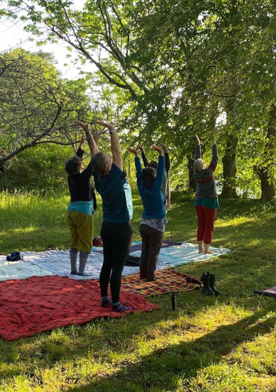 Yoga and Wellness Classes and Programs in Nova Scotia