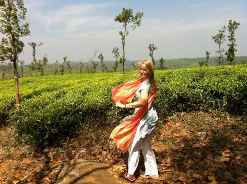 Tea plantation on a windy day
